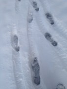 0176c25fb0530507f13d6edd39caf79bb1ee84b919