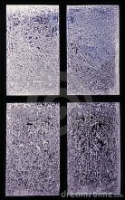 frostedwindowpane