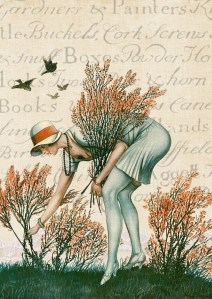 flapper-1079515_960_720